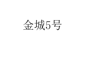 金城5号