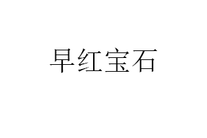 早红宝石