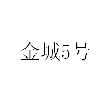 金城5号