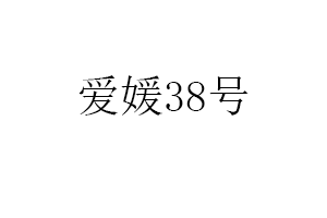 爱媛38 号