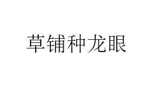 草铺种龙眼