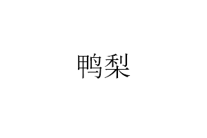 鸭梨