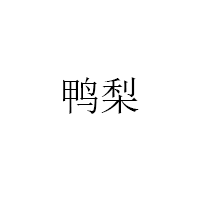 鸭梨