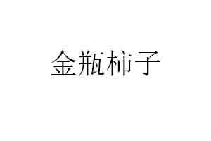 金瓶柿子