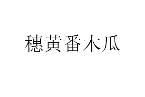穗黄番木瓜