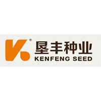 垦丰种业