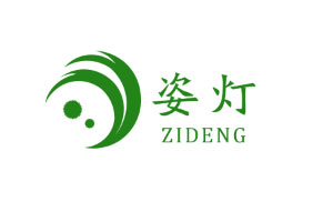 姿灯