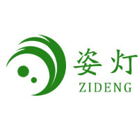 姿灯