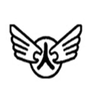 飞人/Flyingman