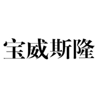 宝威斯隆/BAOWEISILONG