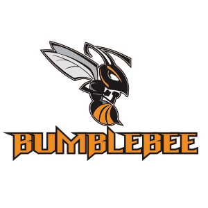 大黄蜂/Bumblebee