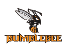 大黄蜂/Bumblebee