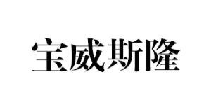 宝威斯隆/BAOWEISILONG