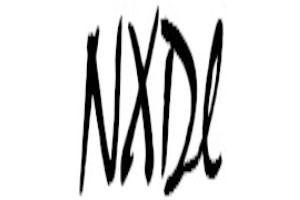南旭动力/NXDL