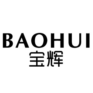 宝辉/BAOHUI