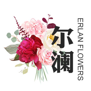 尔澜
