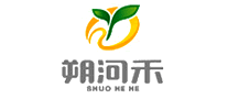 朔河禾