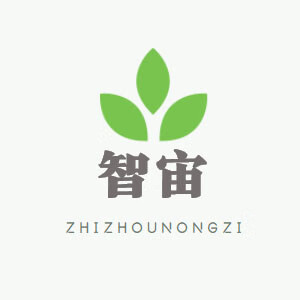 智宙