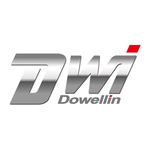 Dwi
