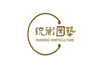 锐衡