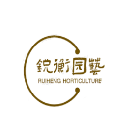 锐衡