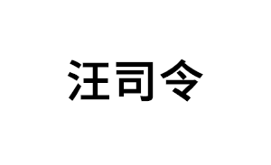 汪司令