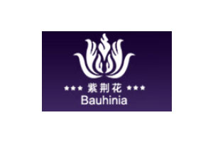 紫荆花散热