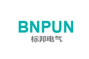 BNPUN