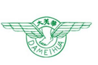 大美华