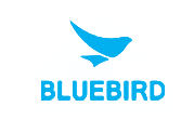 蓝鸟/Bluebird