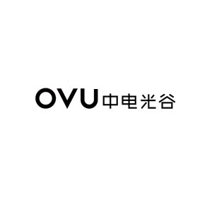 中电光谷