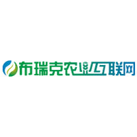 布瑞克