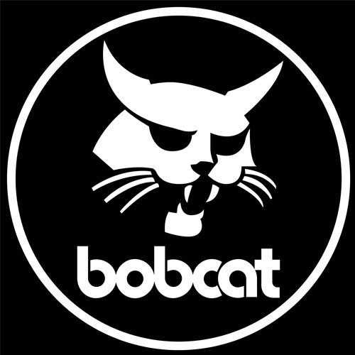 山猫/Bobcat