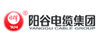 阳谷