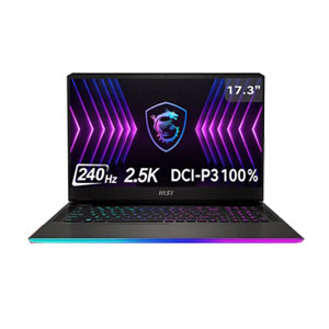 微星 强袭GE77HX (i9-12900HX 32G 2TB)