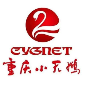 重庆小天鹅