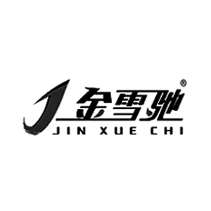 金雪驰