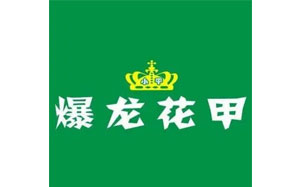 爆龙花甲