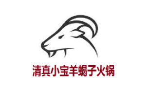 清真小宝