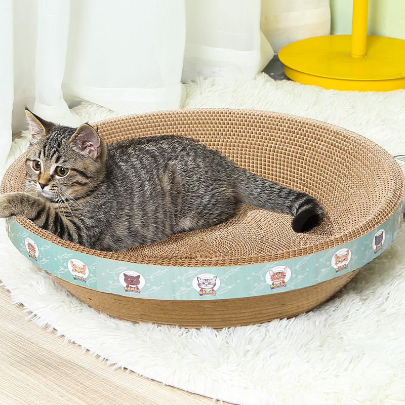 疯狂的主人 猫抓板