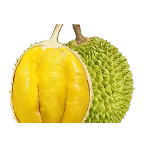 田良季 D197猫山王榴莲400g