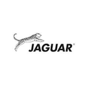 丛林豹/JAGUAR
