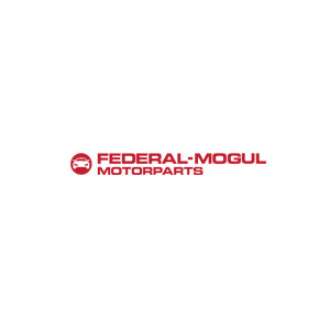 辉门/Federal-Mogul
