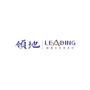 领地/LEADING