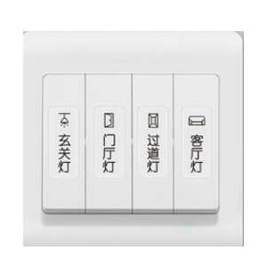 盛世泰堡 开关贴纸 2张装