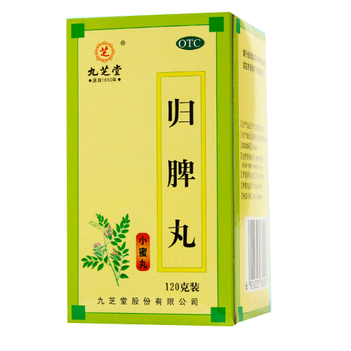 九芝堂 归脾丸120g