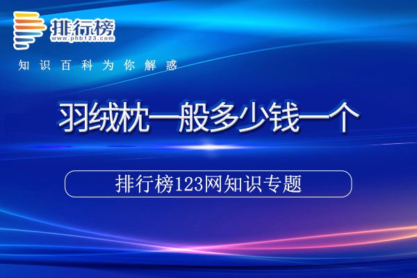 羽绒枕一般多少钱一个
