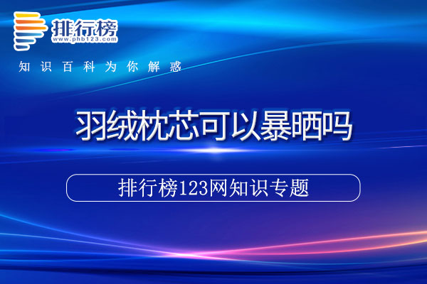 羽绒枕芯可以暴晒吗