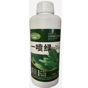 拉坶赛 一喷绿叶面肥 1000g*12瓶