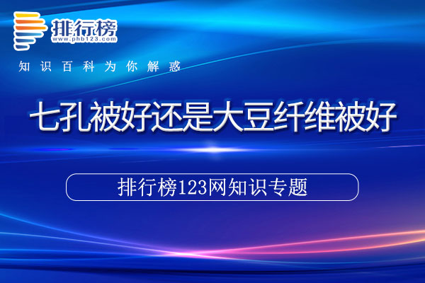 七孔被好还是大豆纤维被好